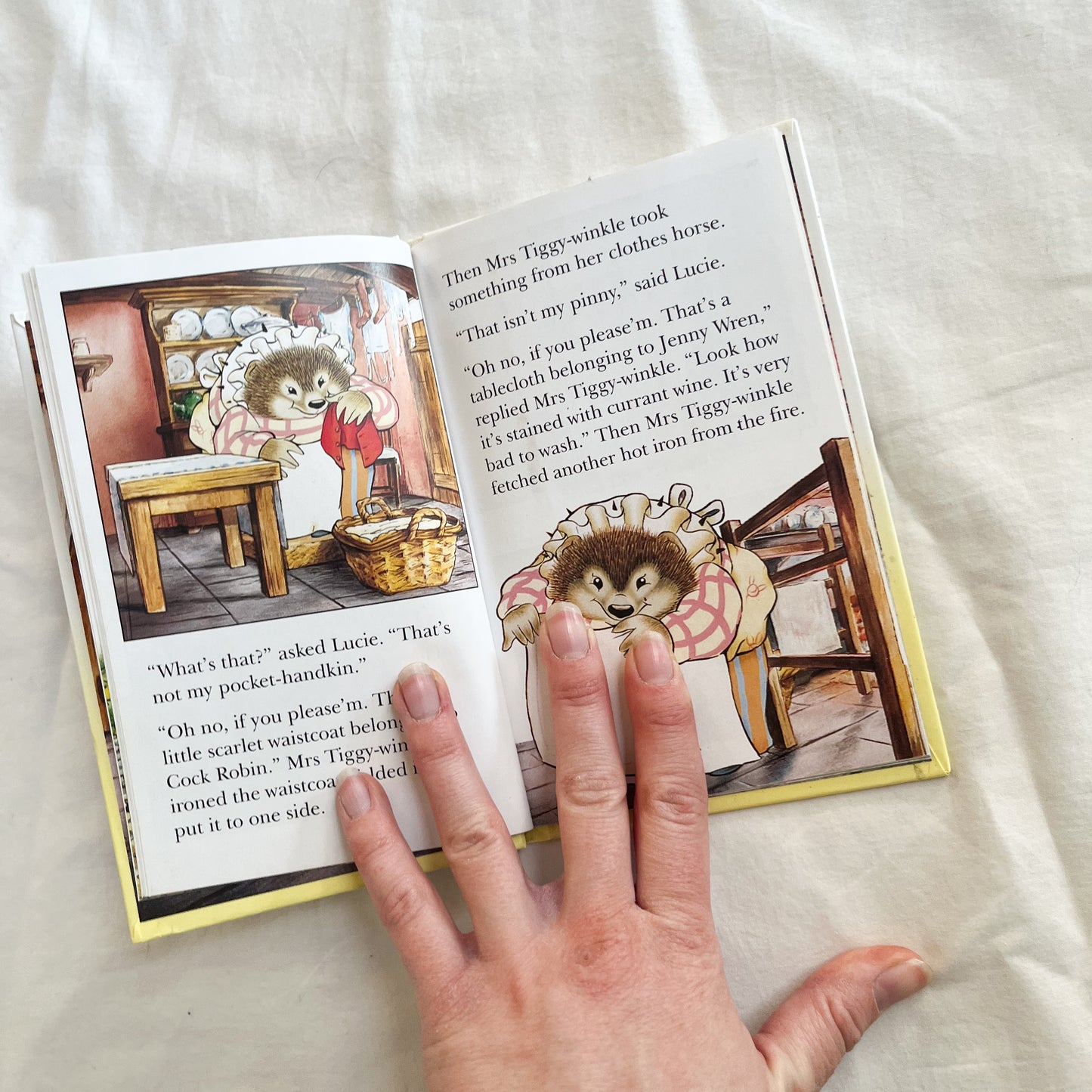 Mrs tiggy winkle book, small