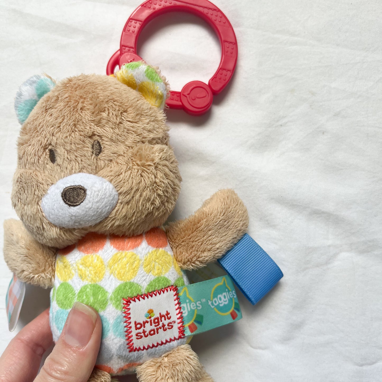 Bright starts bear