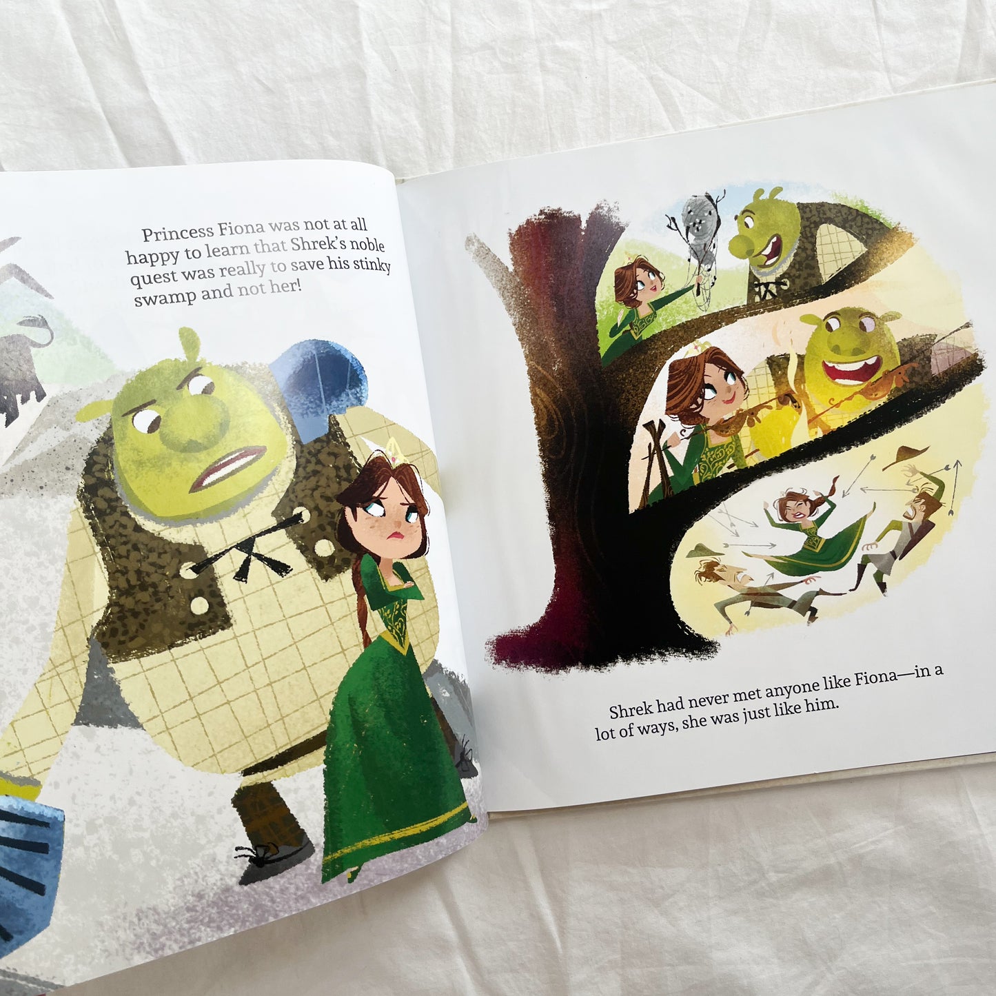 Shrek book, med-large
