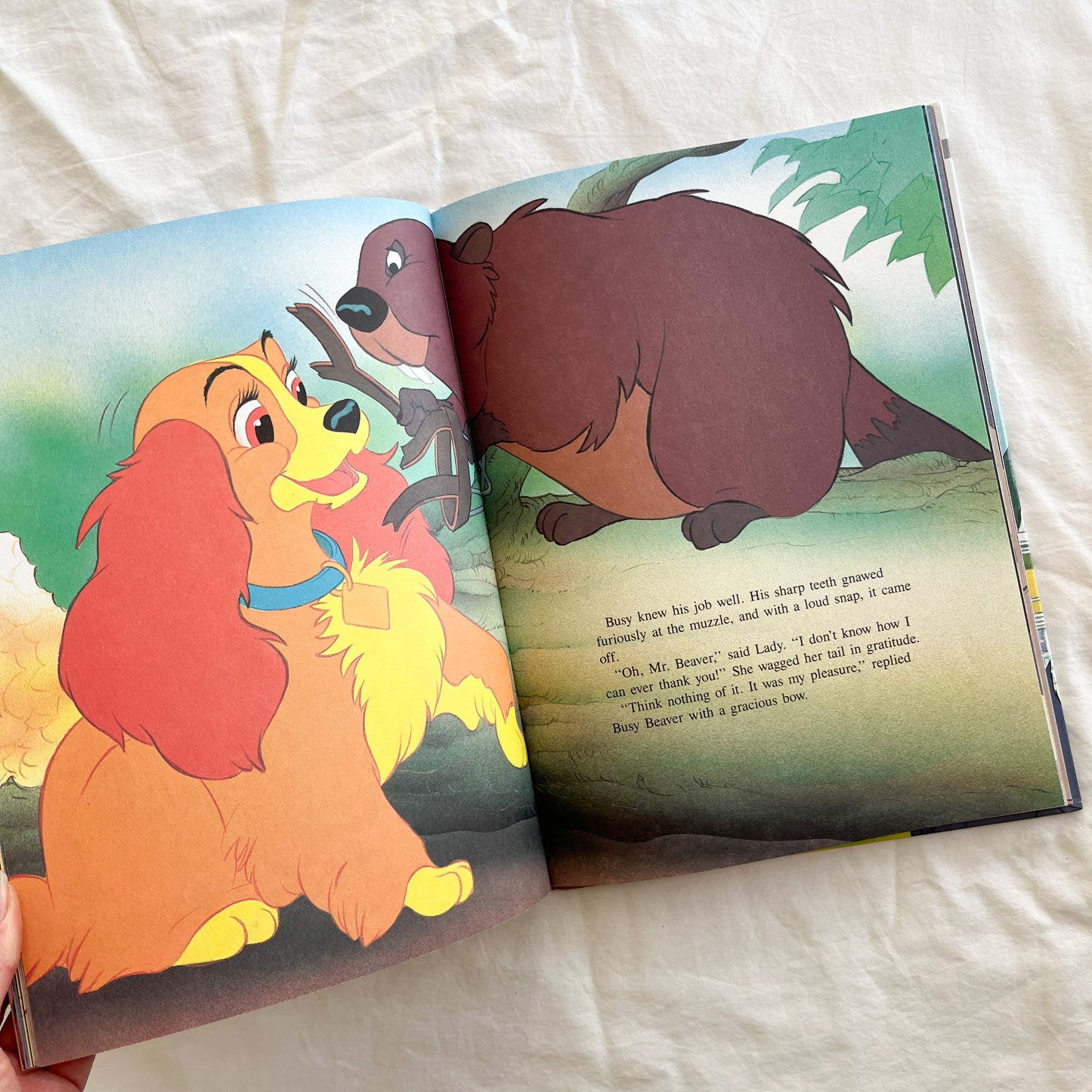 Vintage Lady & the tramp book