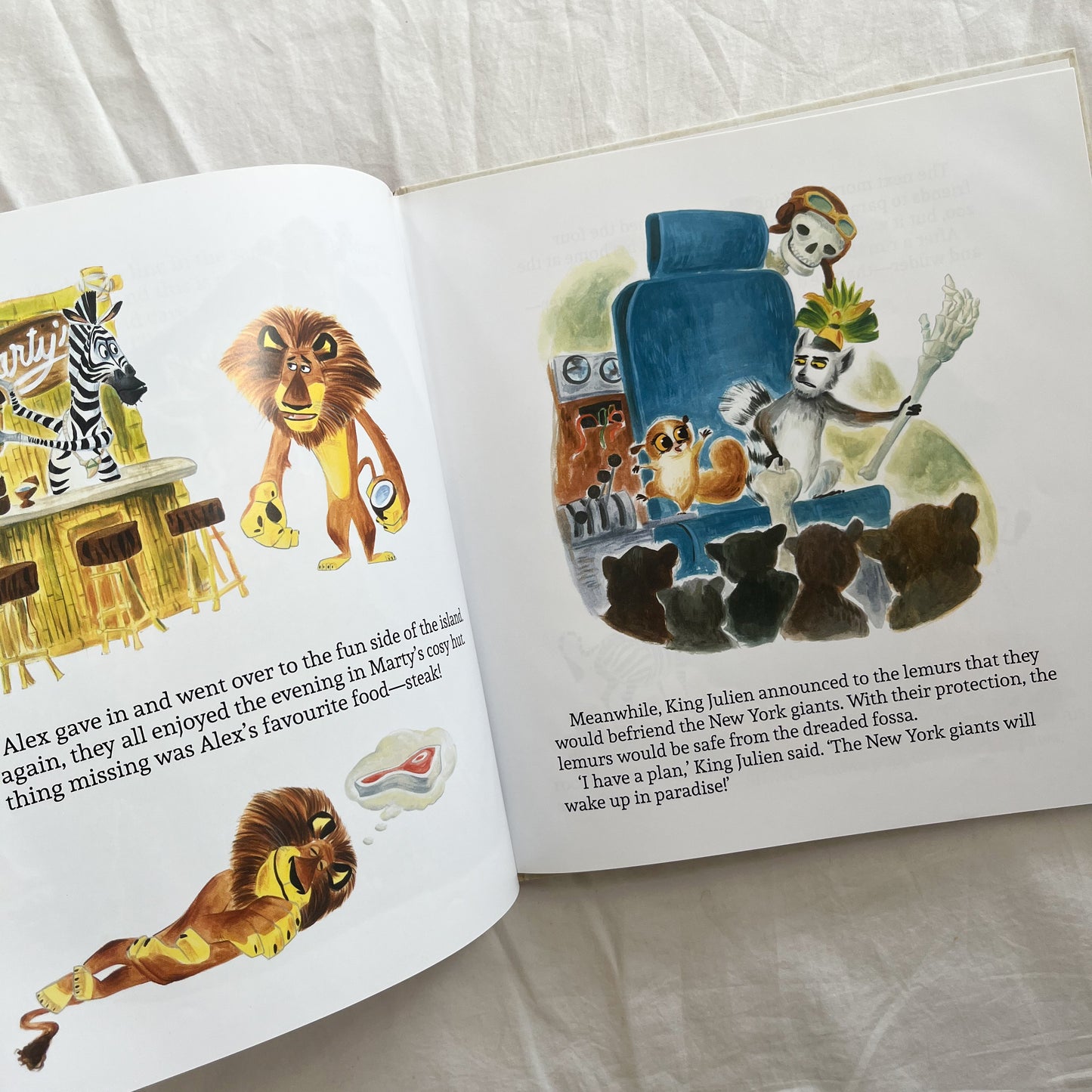 Madagascar book, med-large