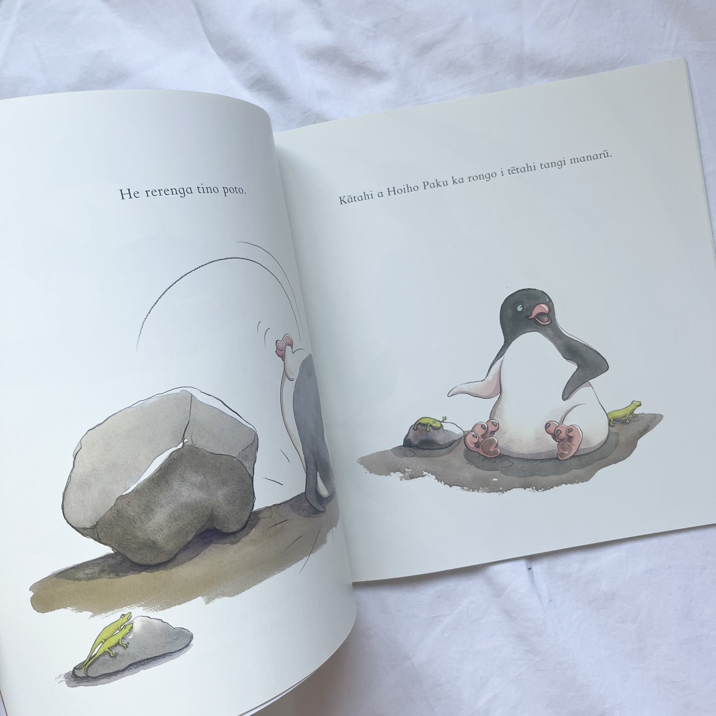 Hoiho paku book, medium