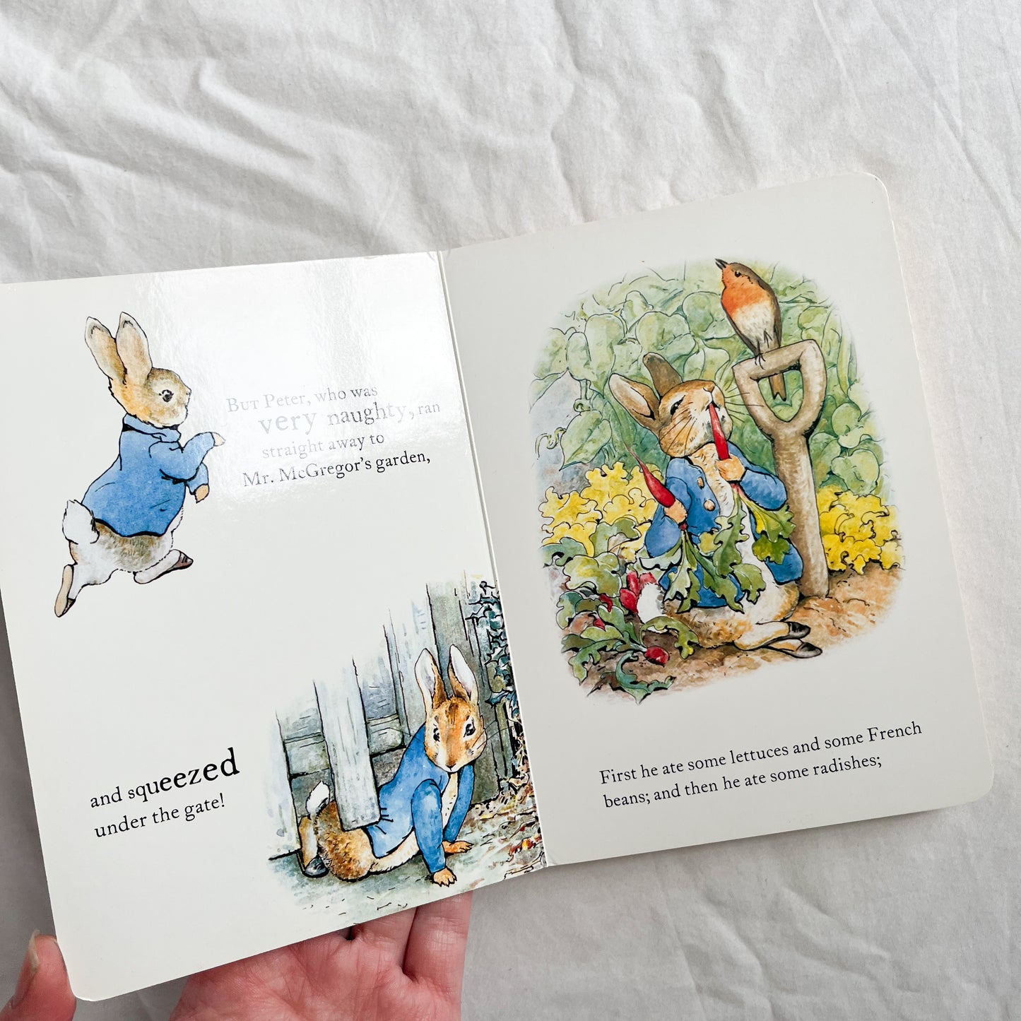 Peter rabbit board book, small