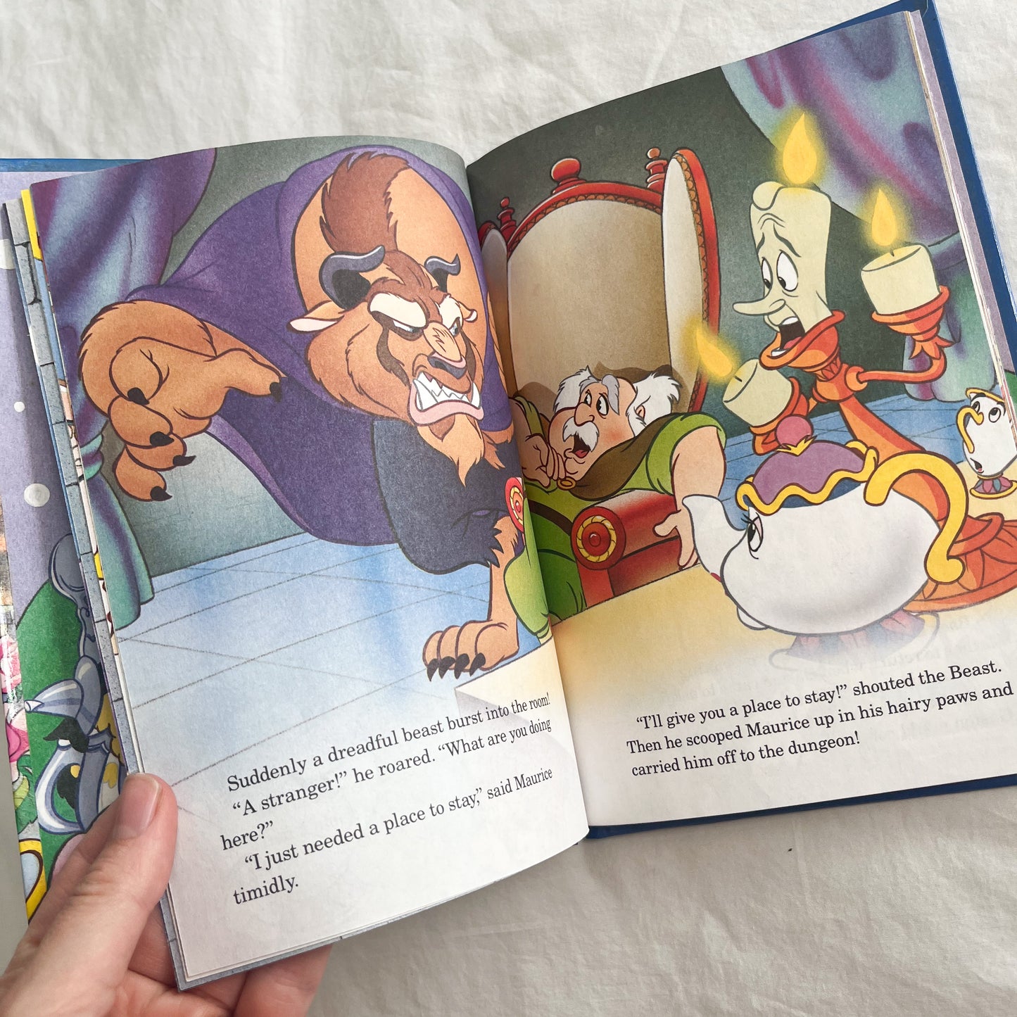 Beauty & the Beast book, small-med