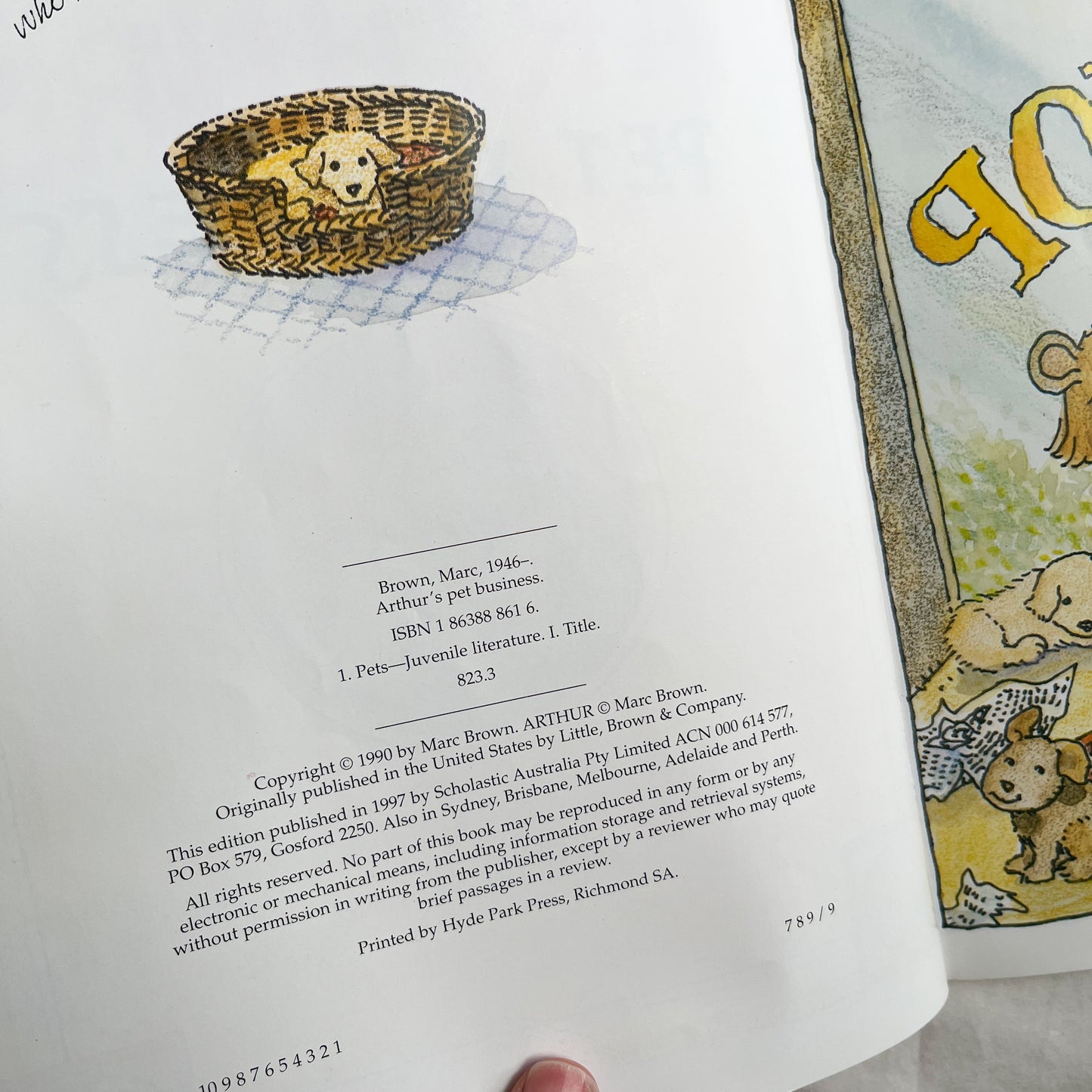 90s Arthur book, medium