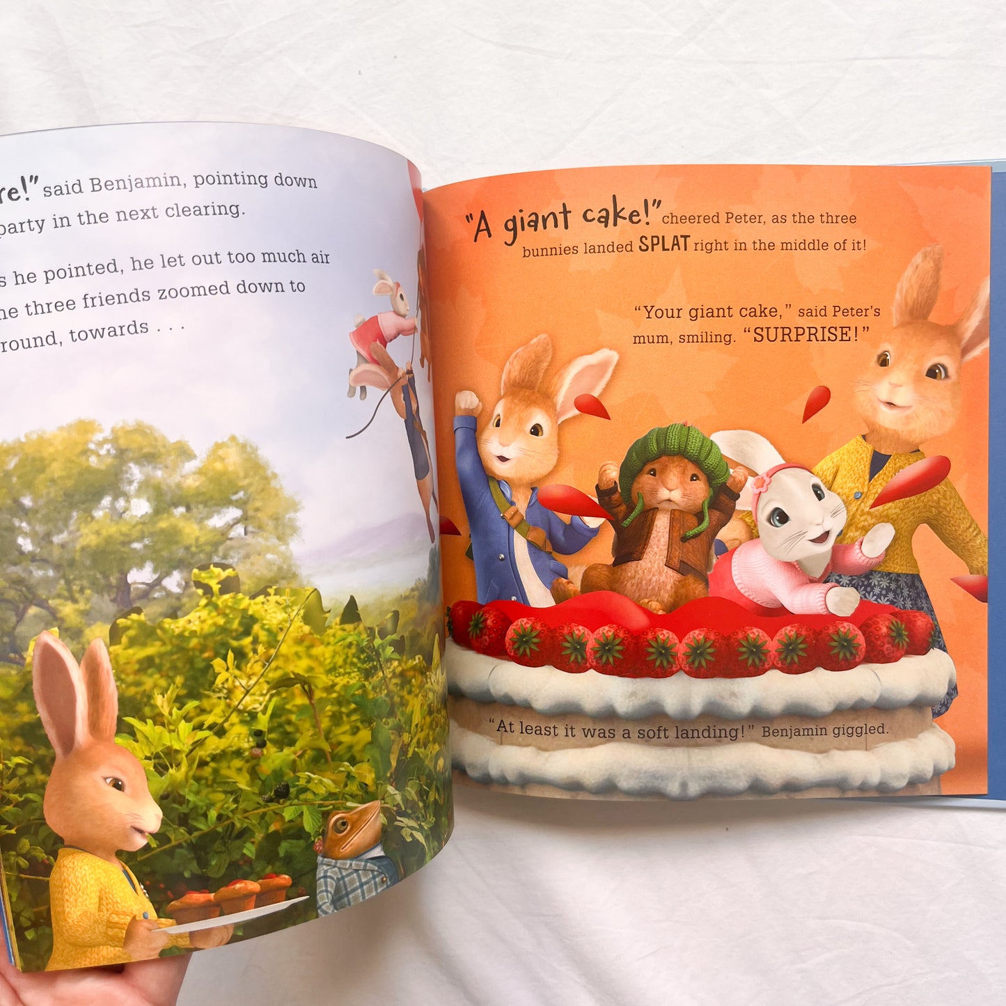 Peter rabbit book, medium