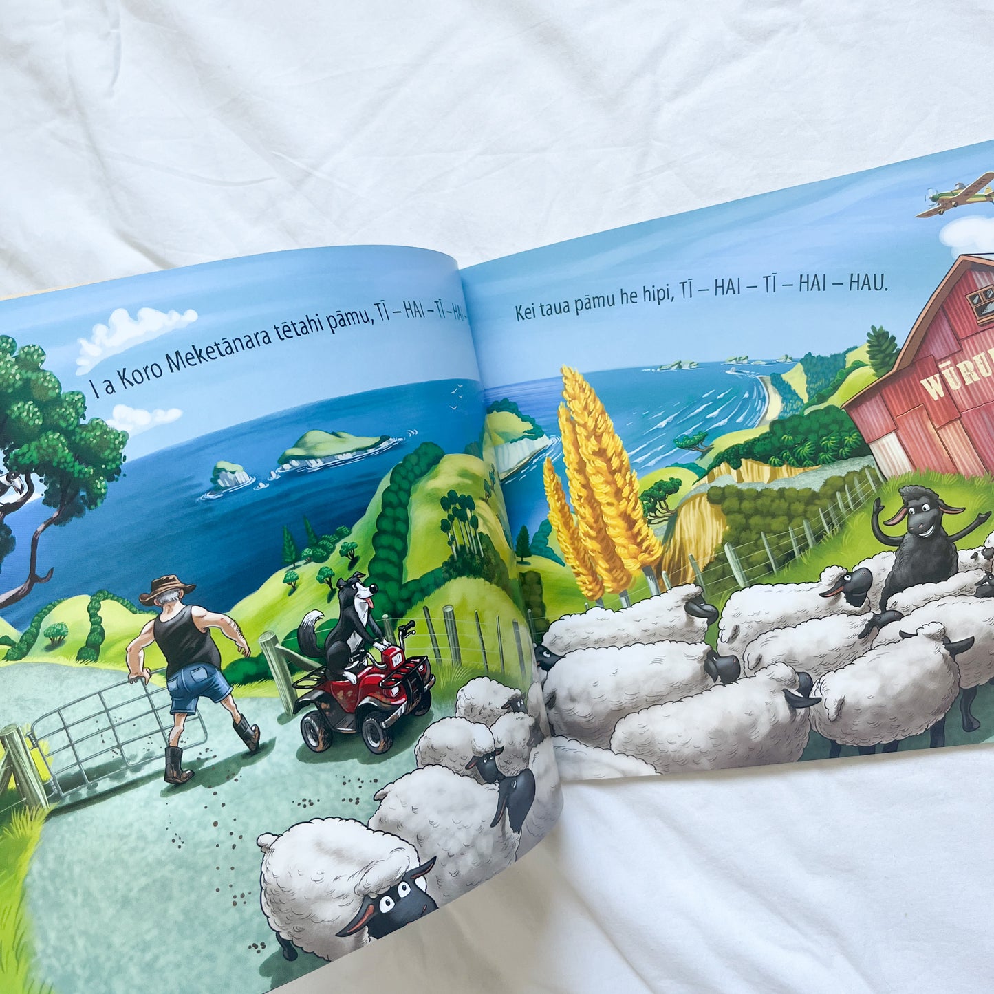 Maori farm book, medium-large