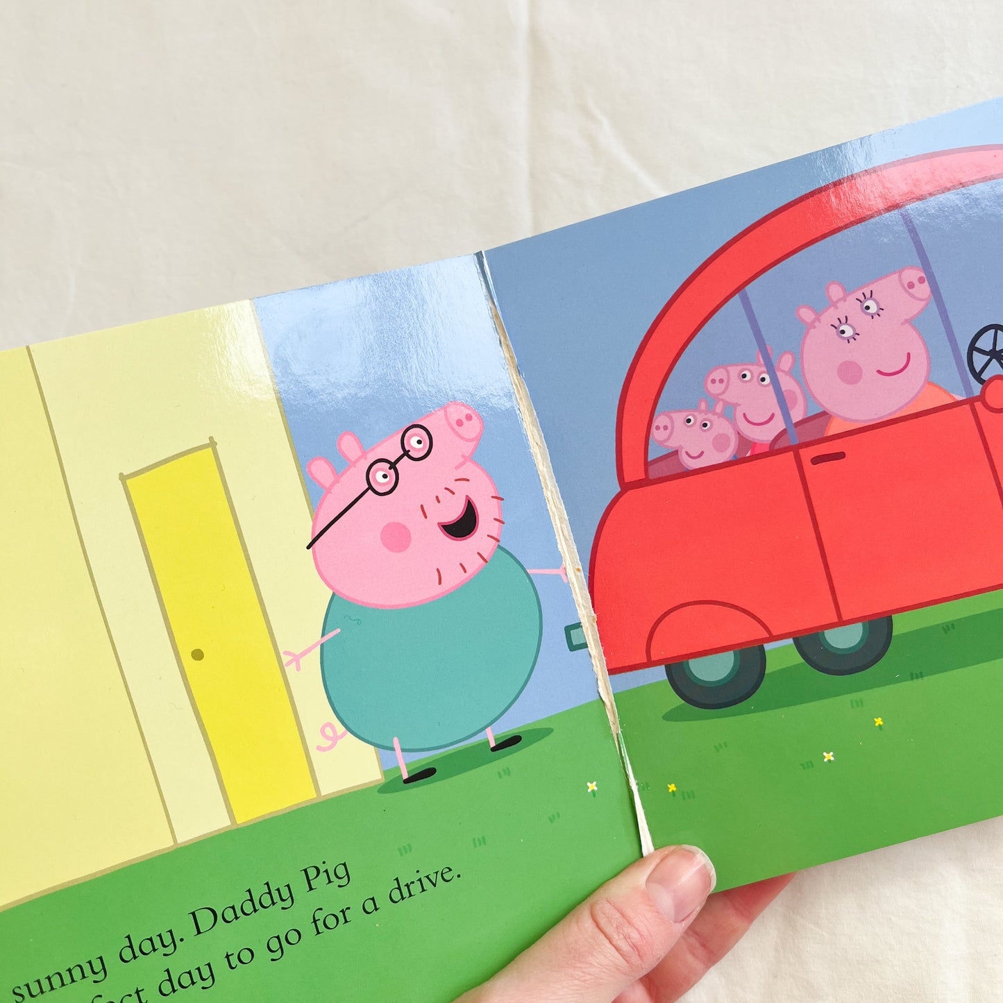 Peppa pig book, small-med