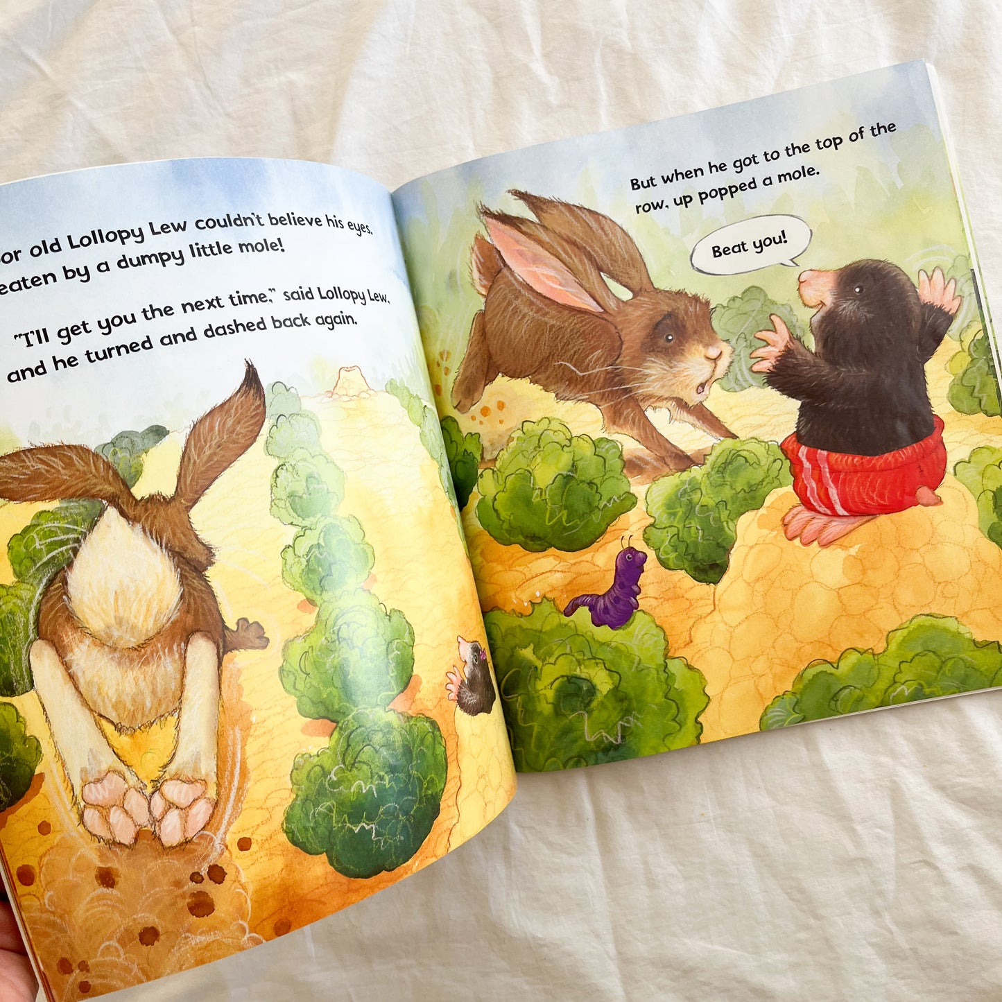Bunny book