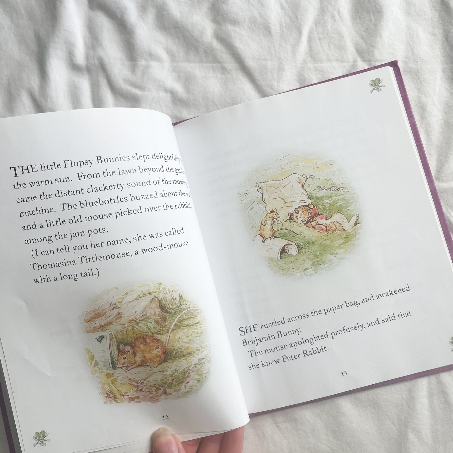 Tale of flopsy bunny’s, small-med