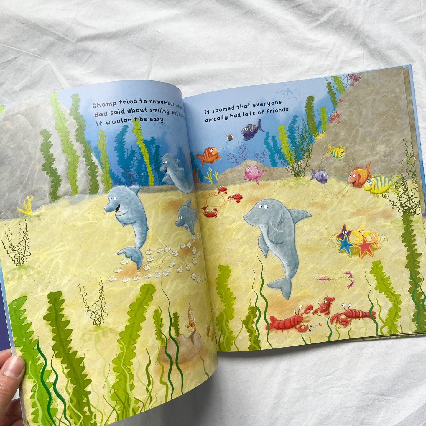 Chomp the shark book, large