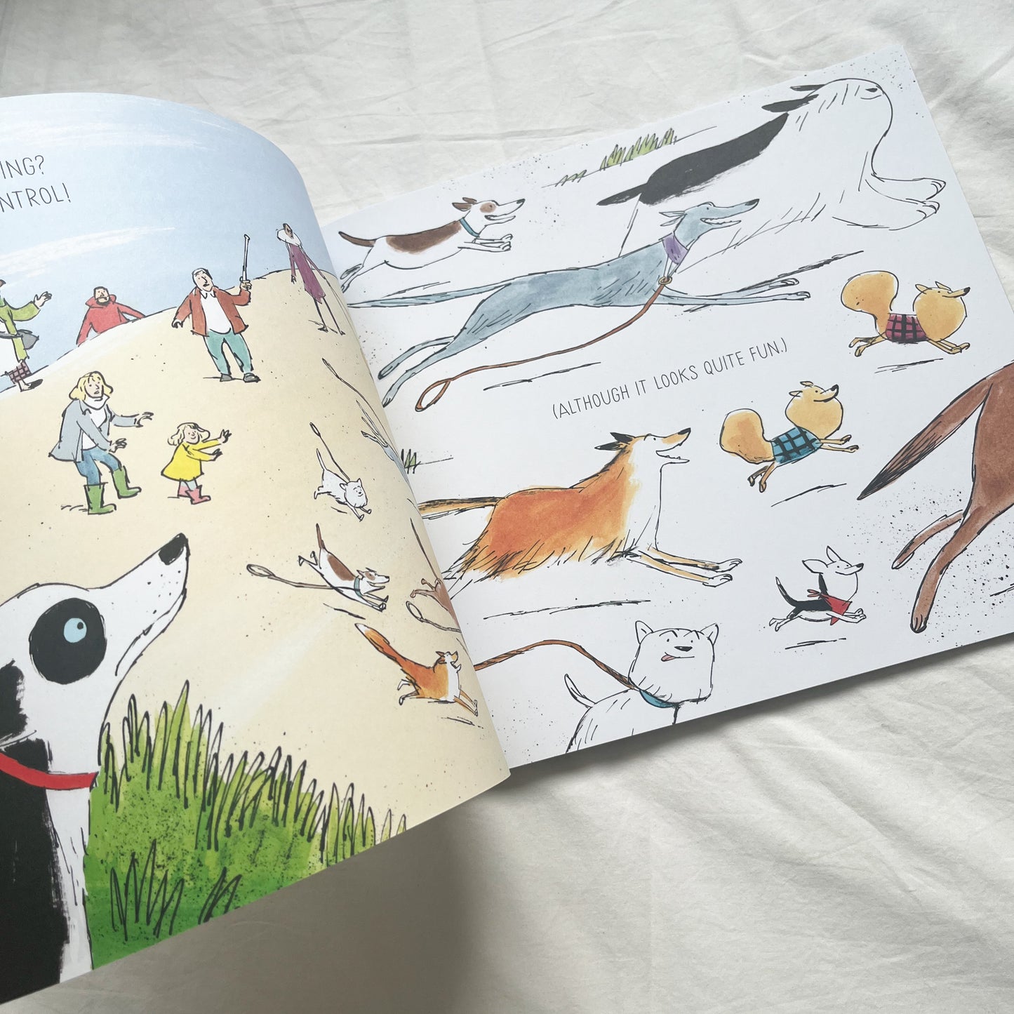 Solo dog book, med-large