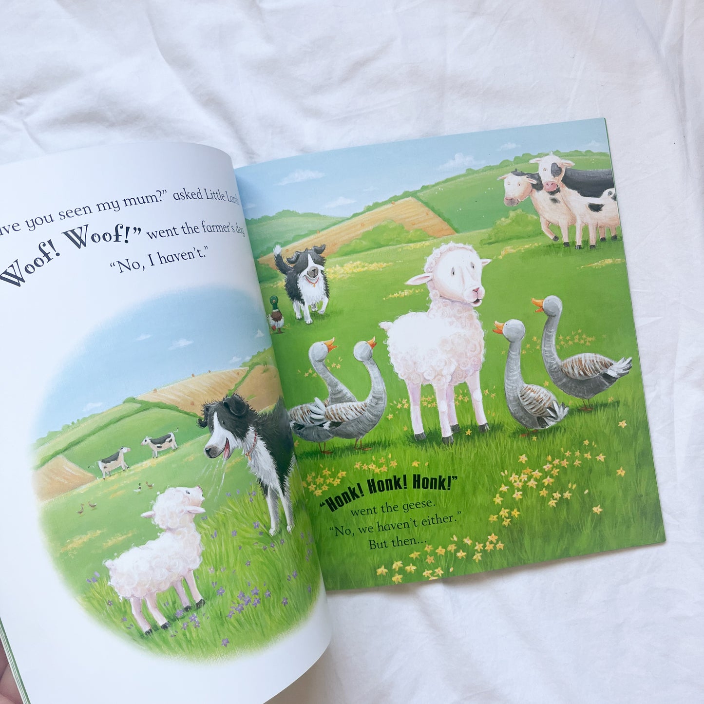Lamb book, medium