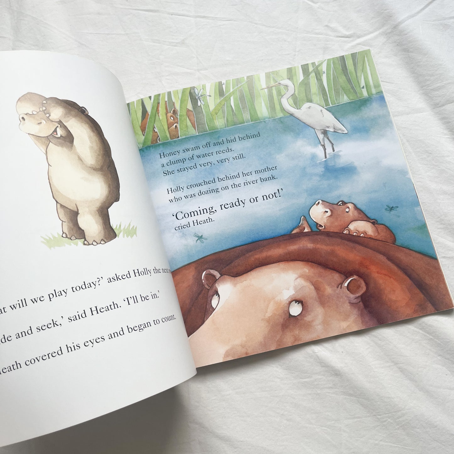 Hippo book, med-large