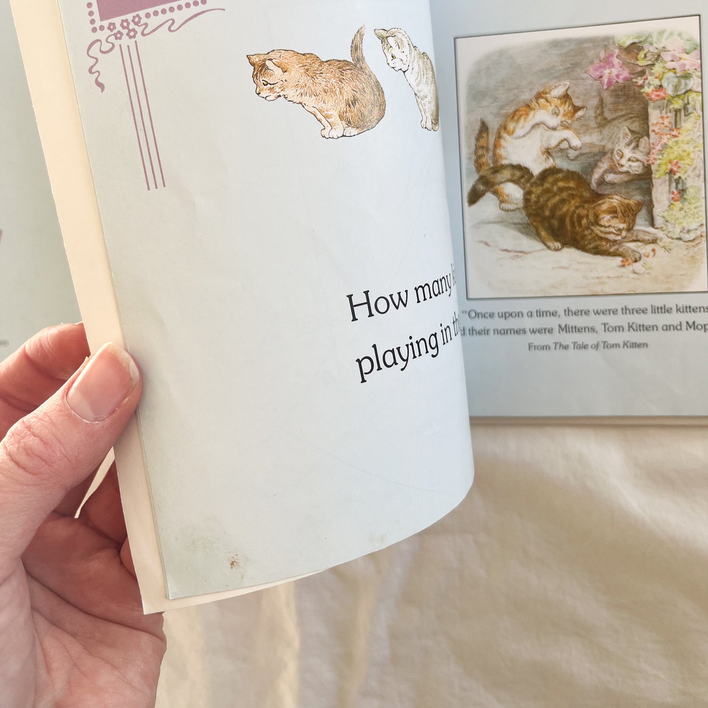 90s Peter rabbit book, small