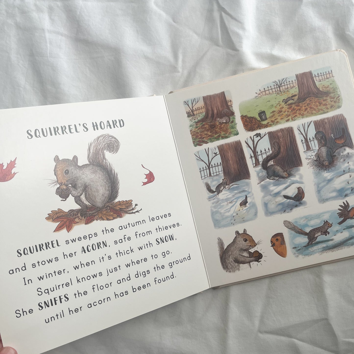 Slow down in the park board book, small-med