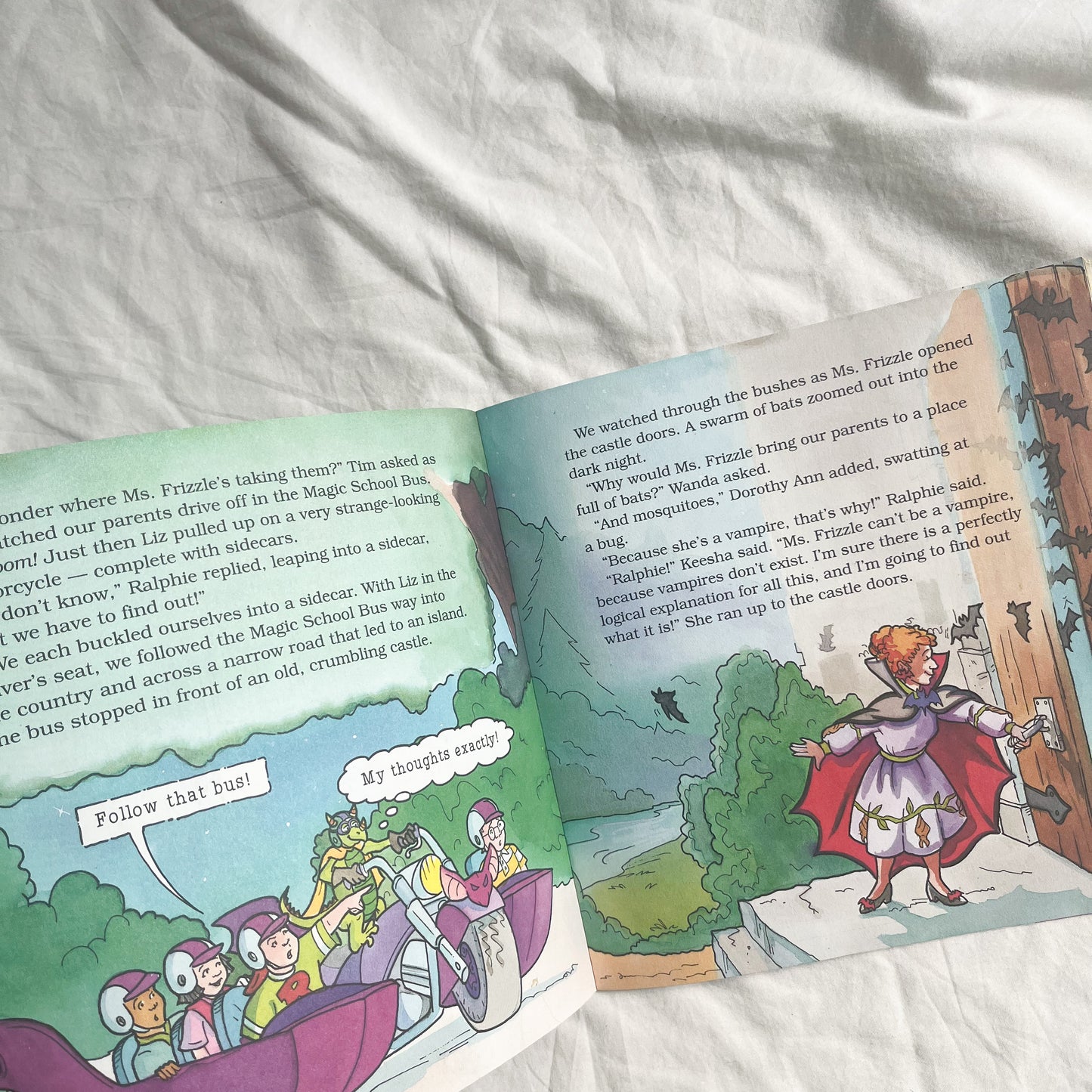 Vintage magic school bus book, medium