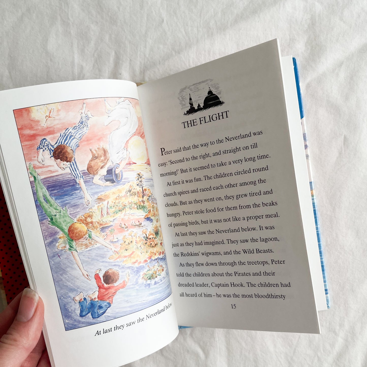 Vintage Peter Pan book (small)