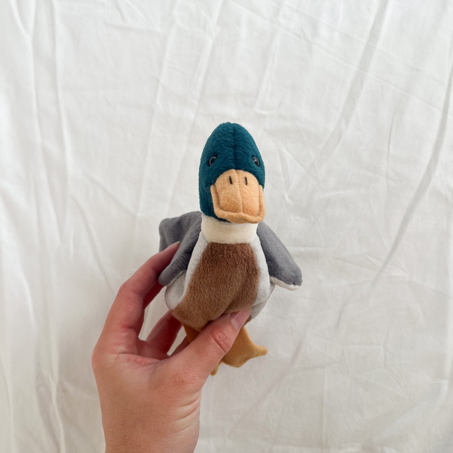 Jake the duck, beanie baby