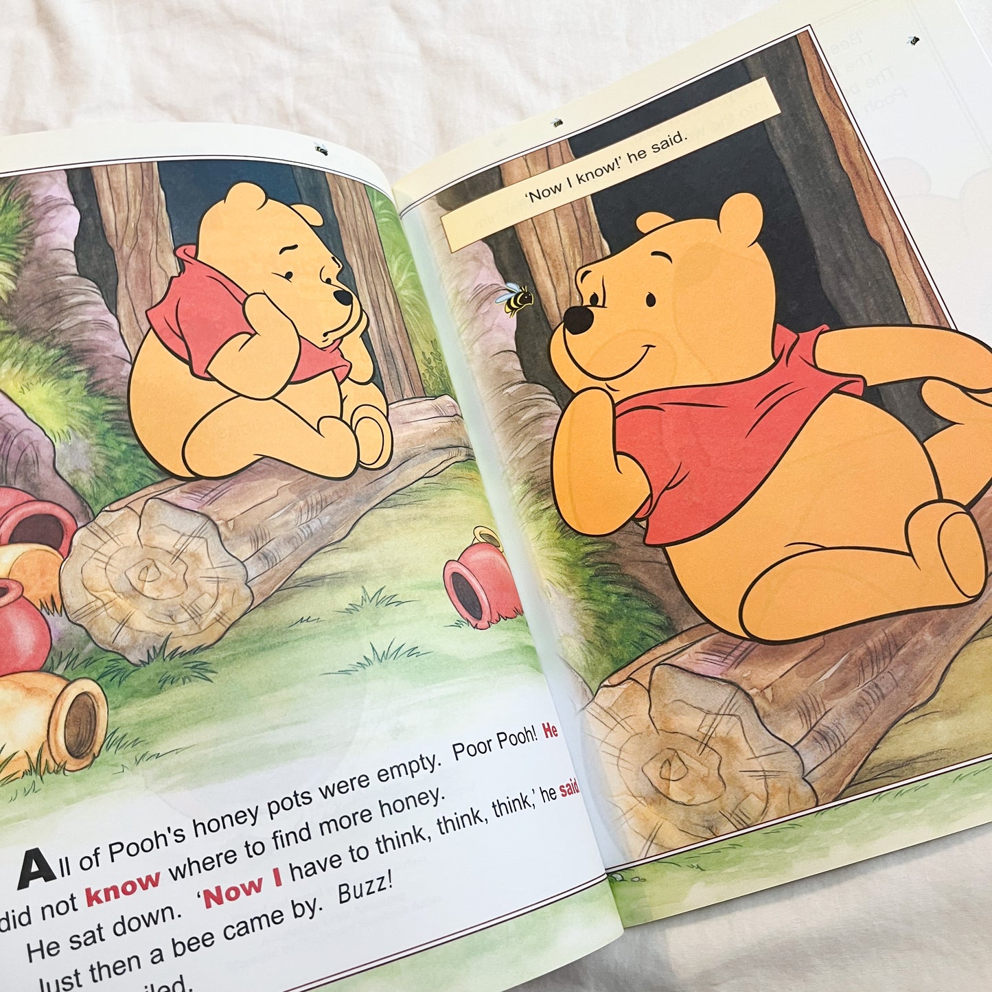 Winnie the Pooh learning book