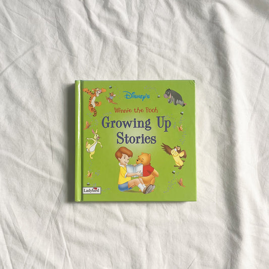 Winnie the Pooh book, small-med