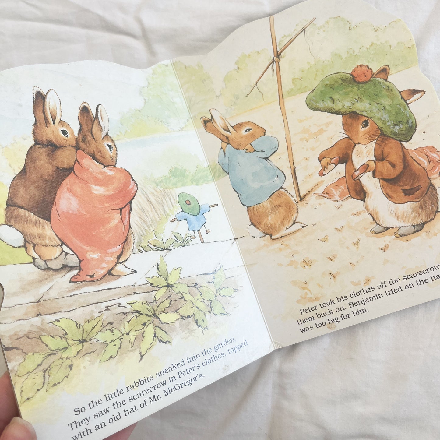Benjamin bunny book, small-med