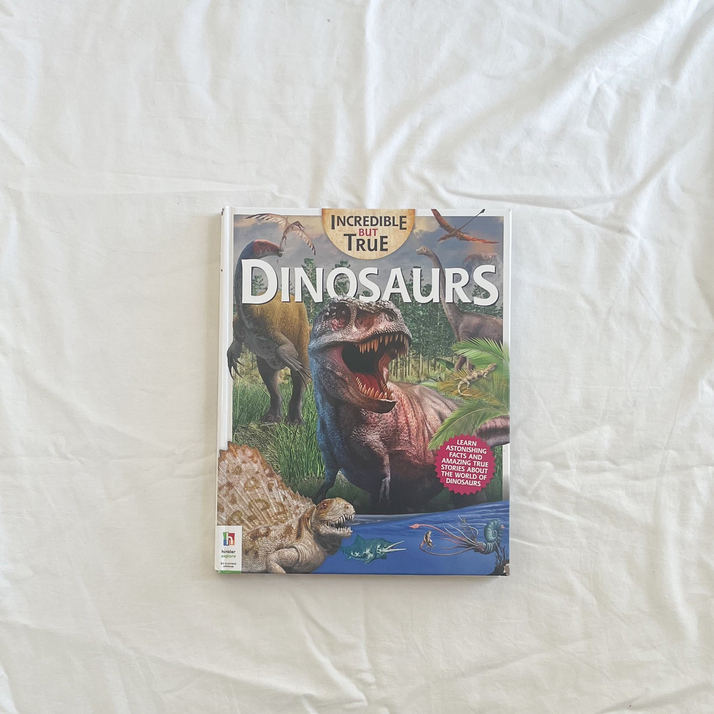 Dinosaur book, large