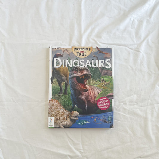 Dinosaur book, large