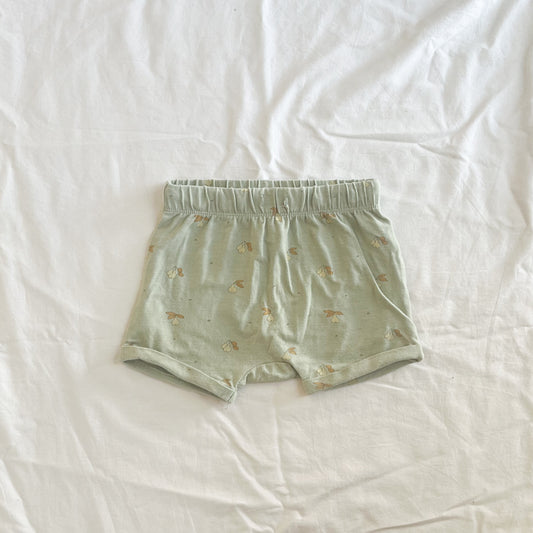 Wilson & Frenchy shorts, 6-12m