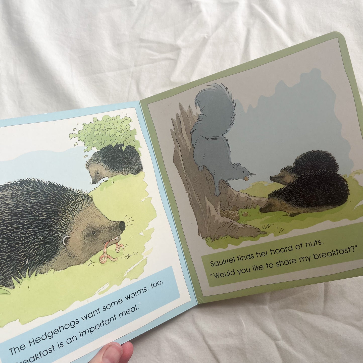 Farthing wood days book, small-med