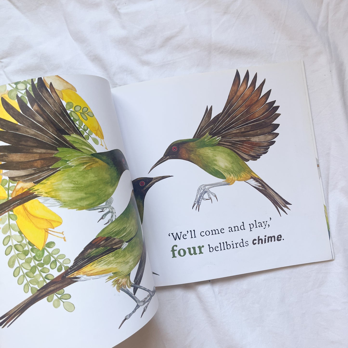 Kiwi book, medium