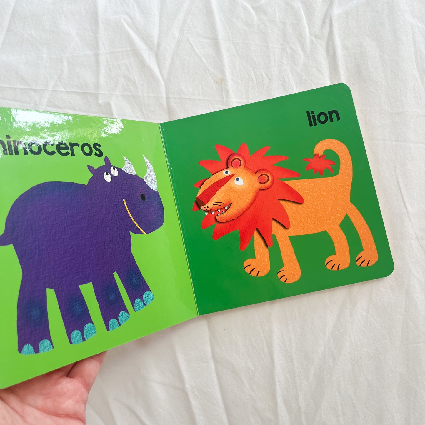 Zoo board book, small-med