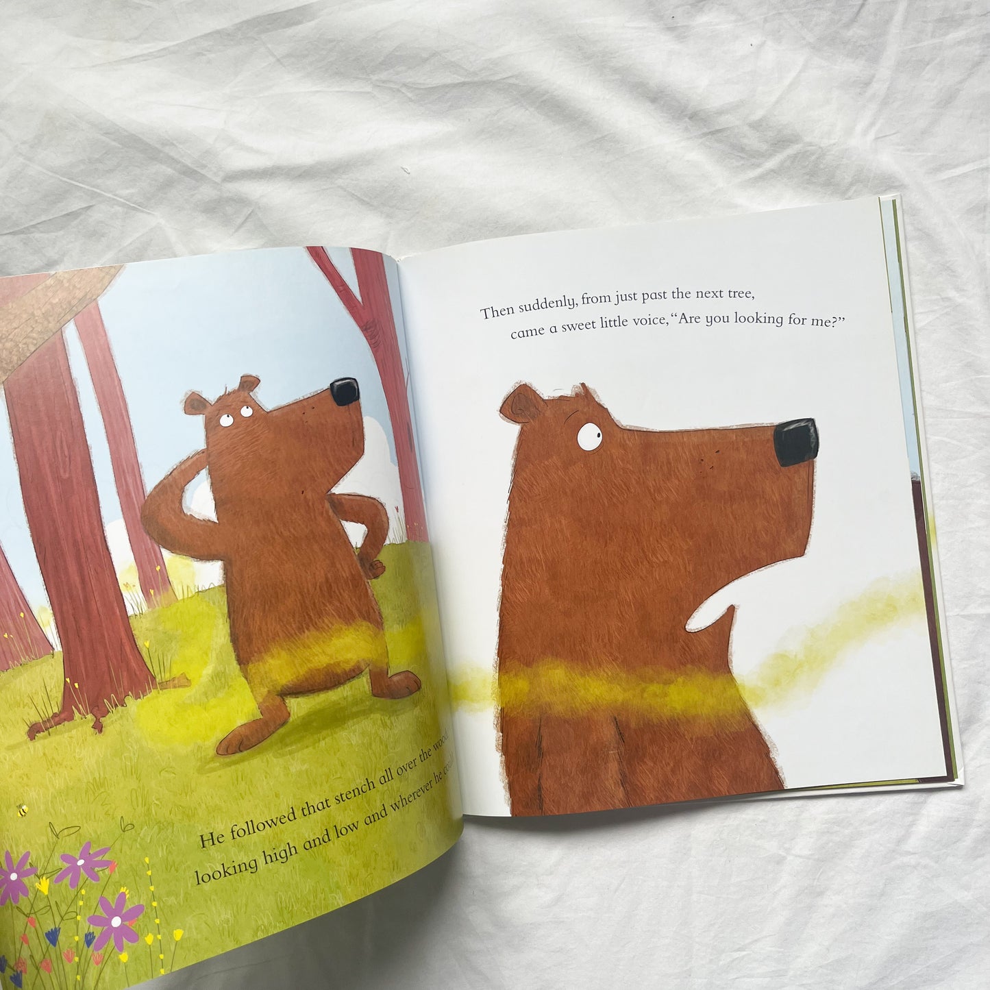 Brian the bear book, large
