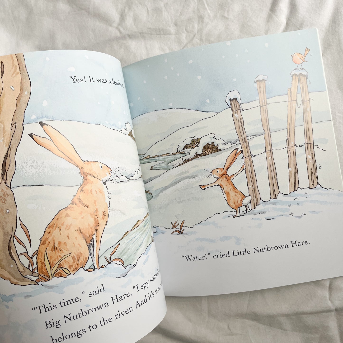 Guess how much I love you book, medium