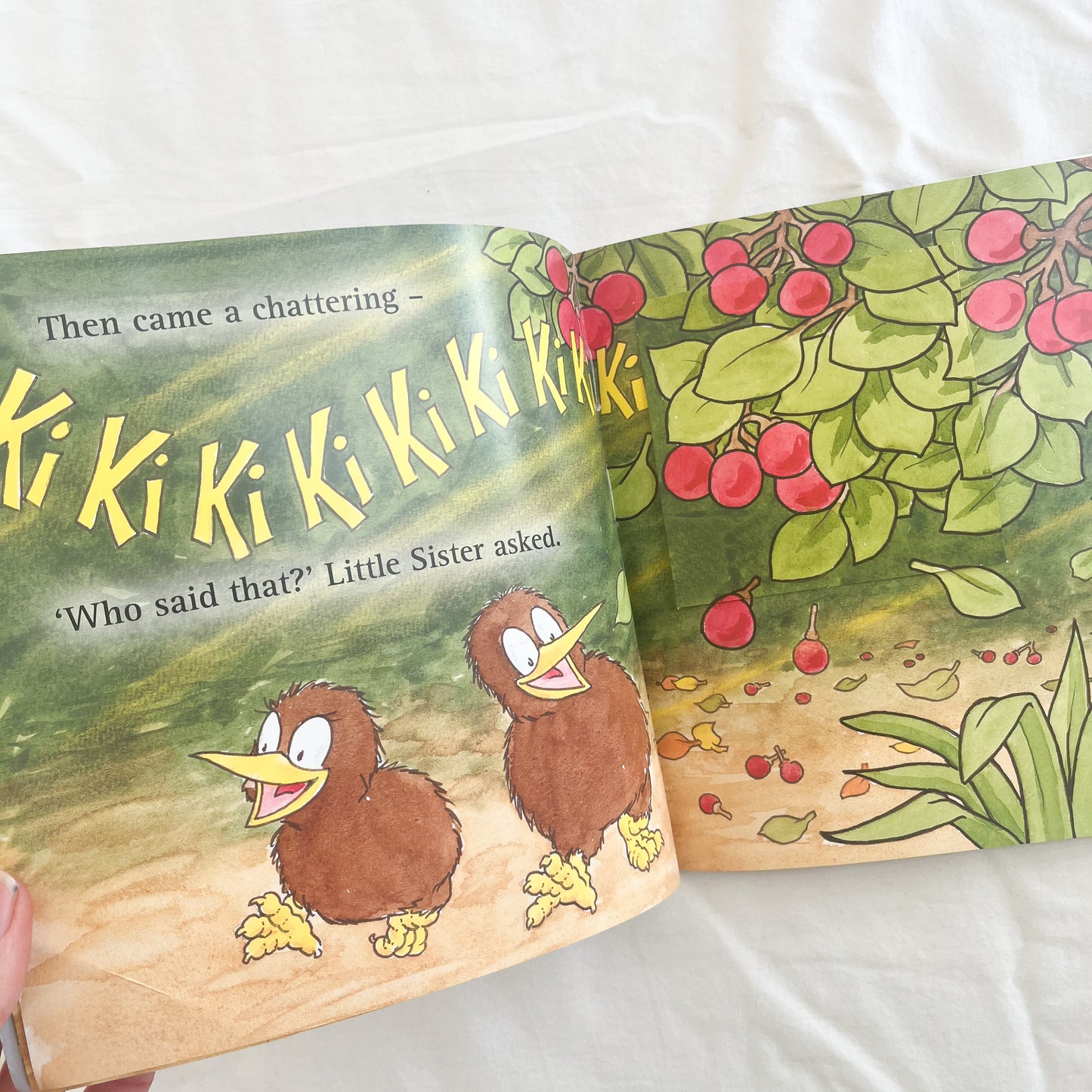 Little kiwi book, med