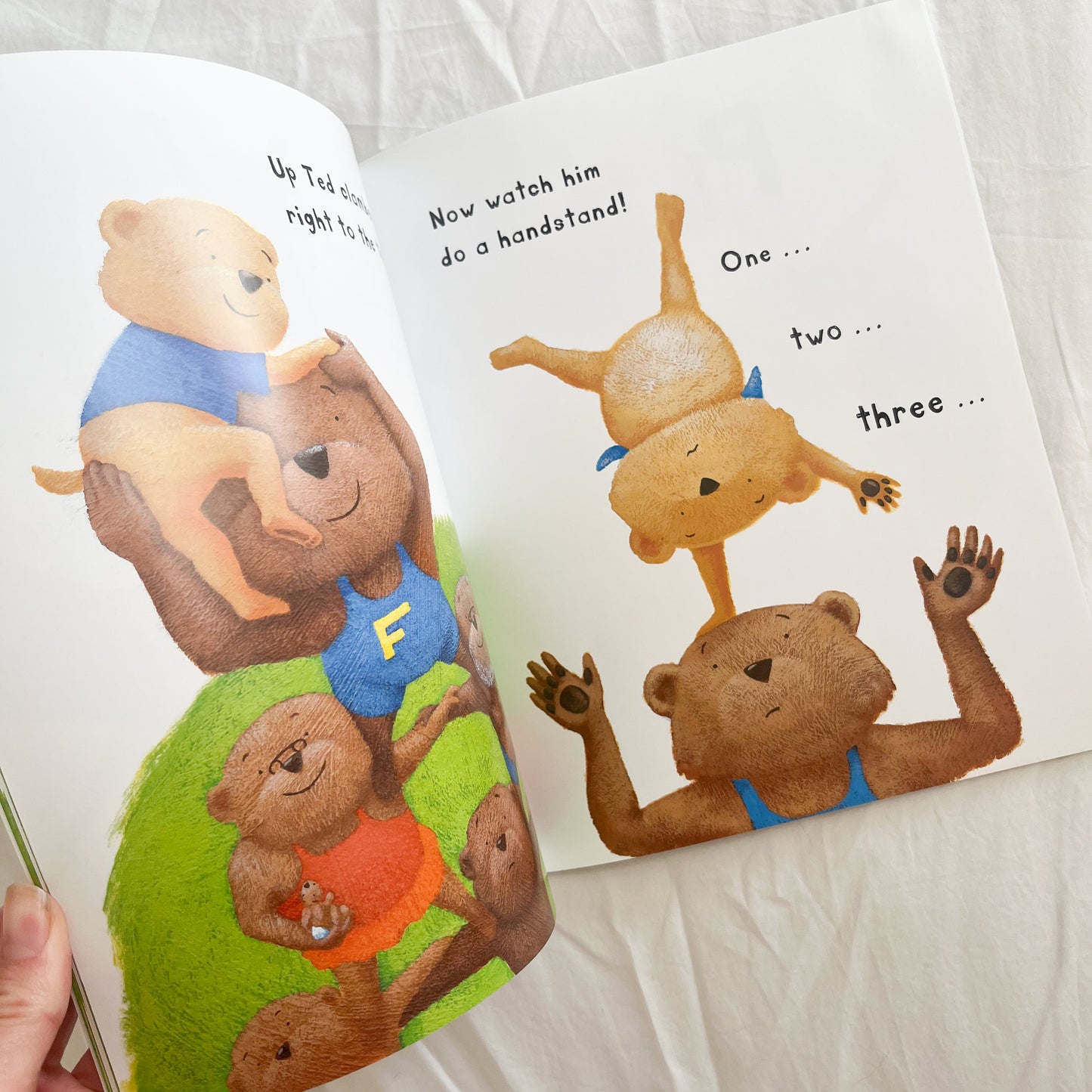 Tumble Ted book, medium-large