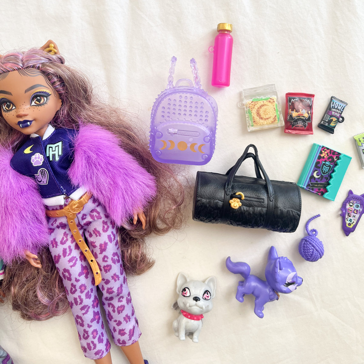 Monster high dolls and accessories