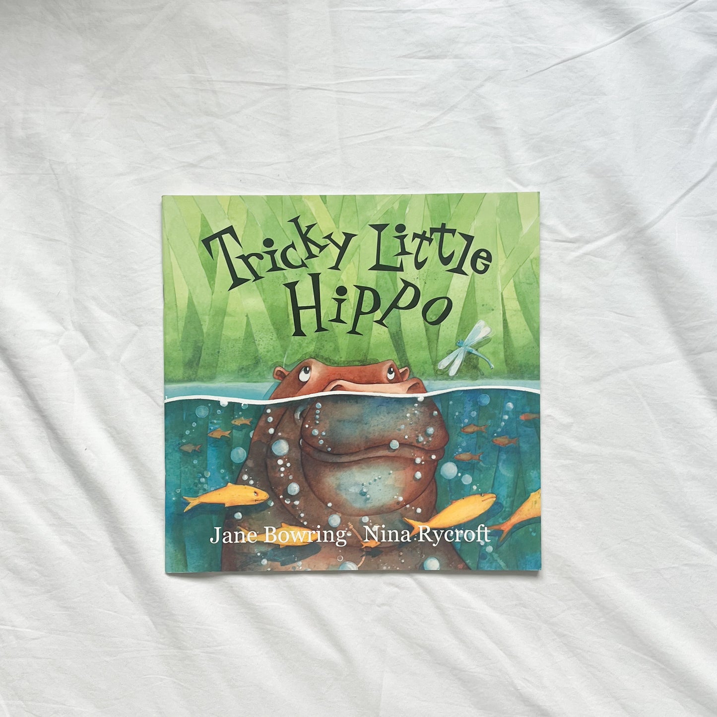 Hippo book, med-large