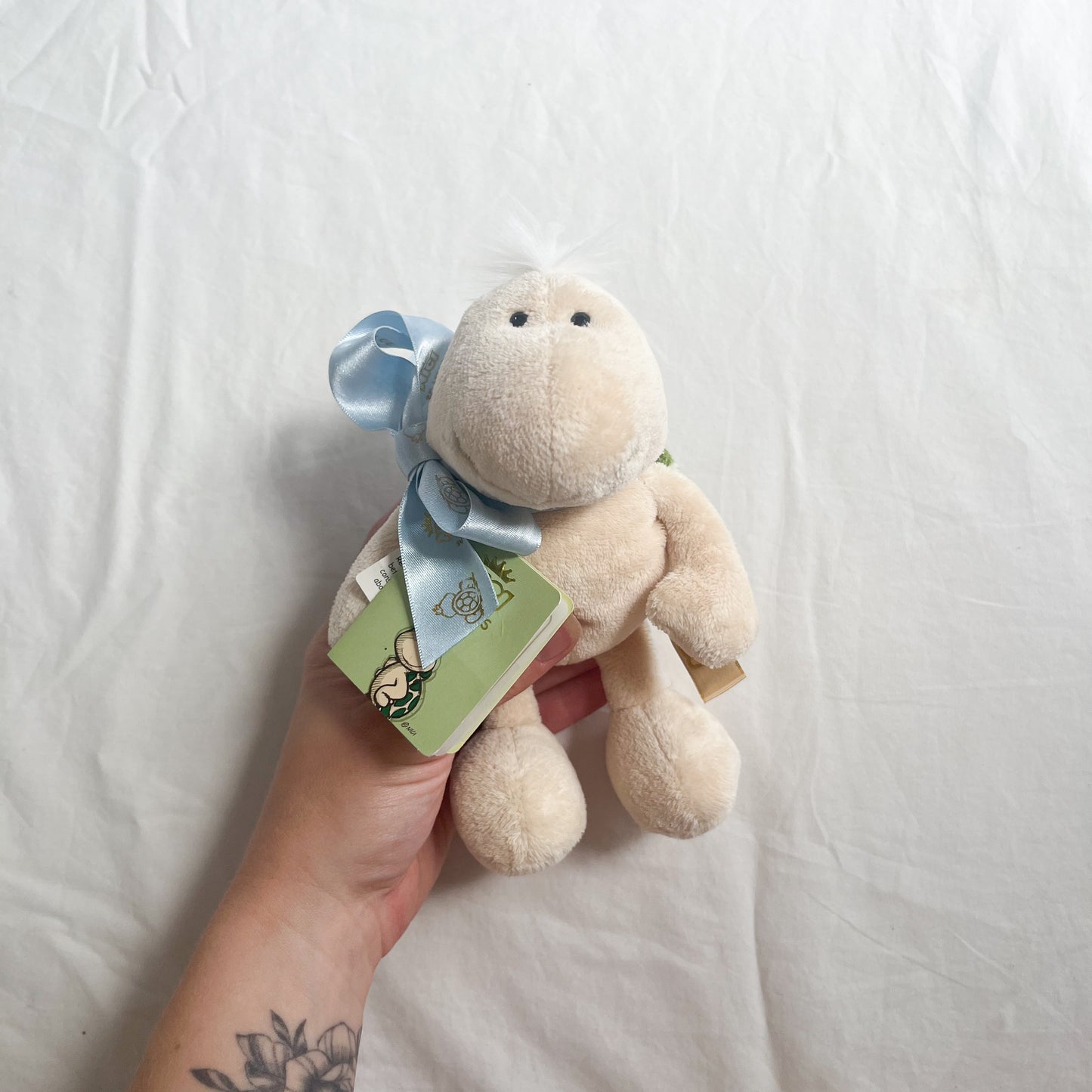 Nici turtle teddy, small
