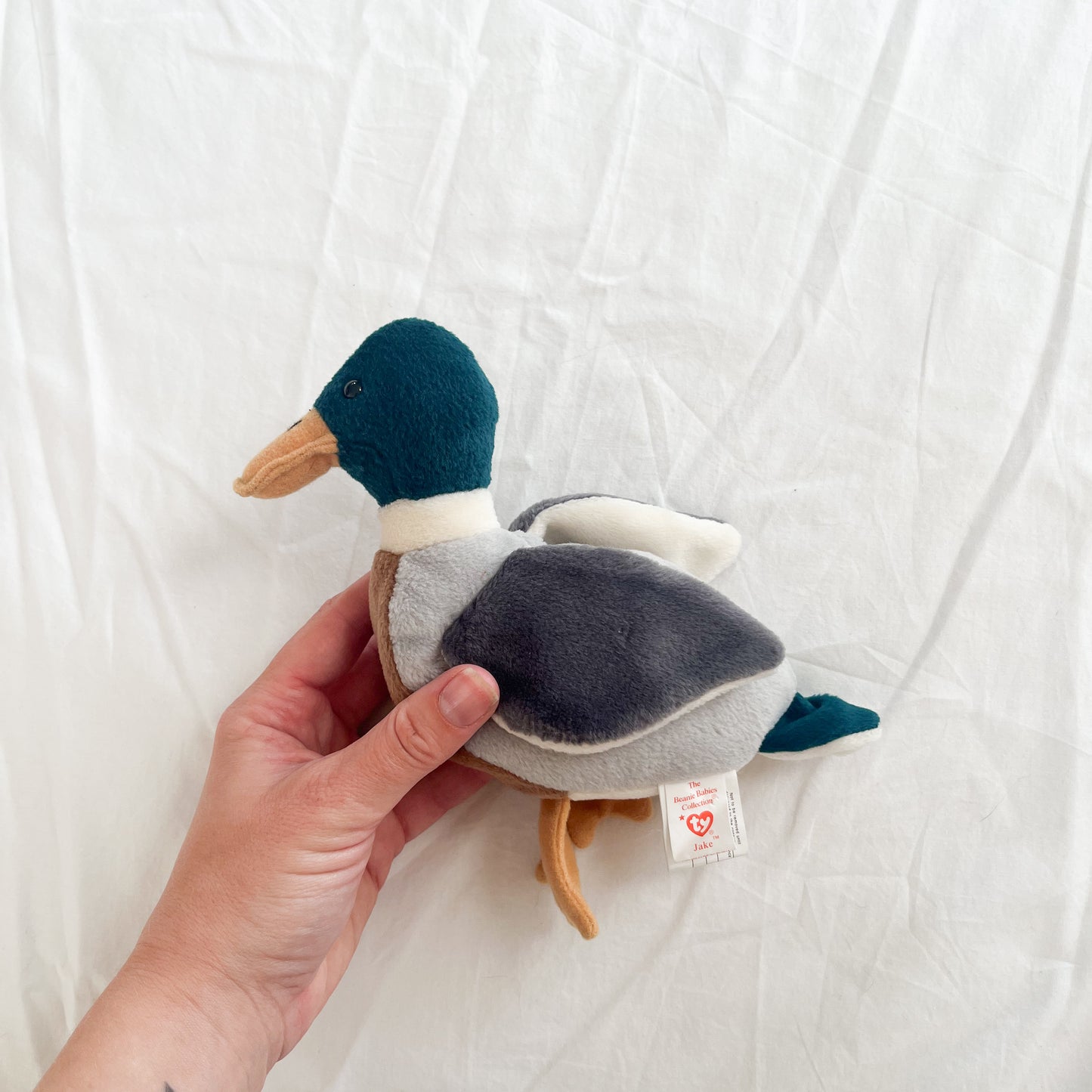 Jake the duck, beanie baby