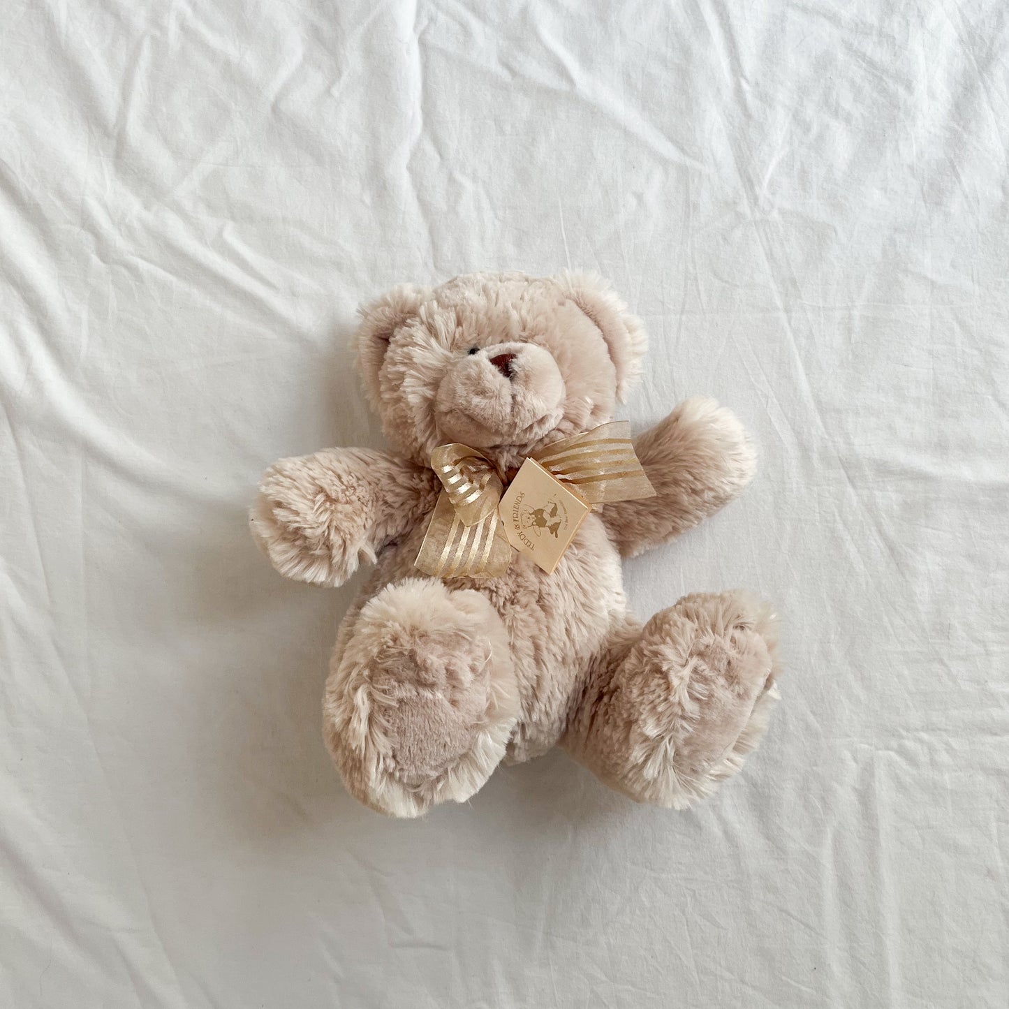 Teddy & friends bear