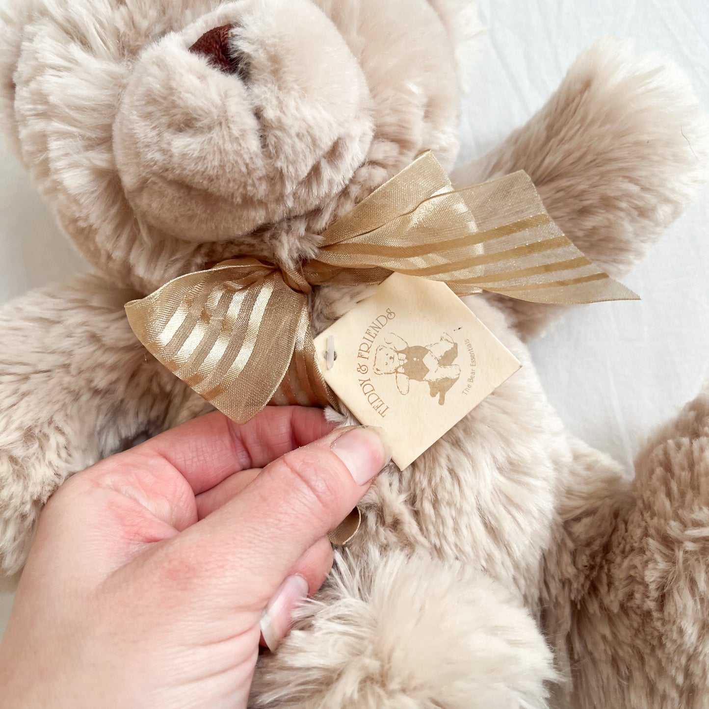 Teddy & friends bear