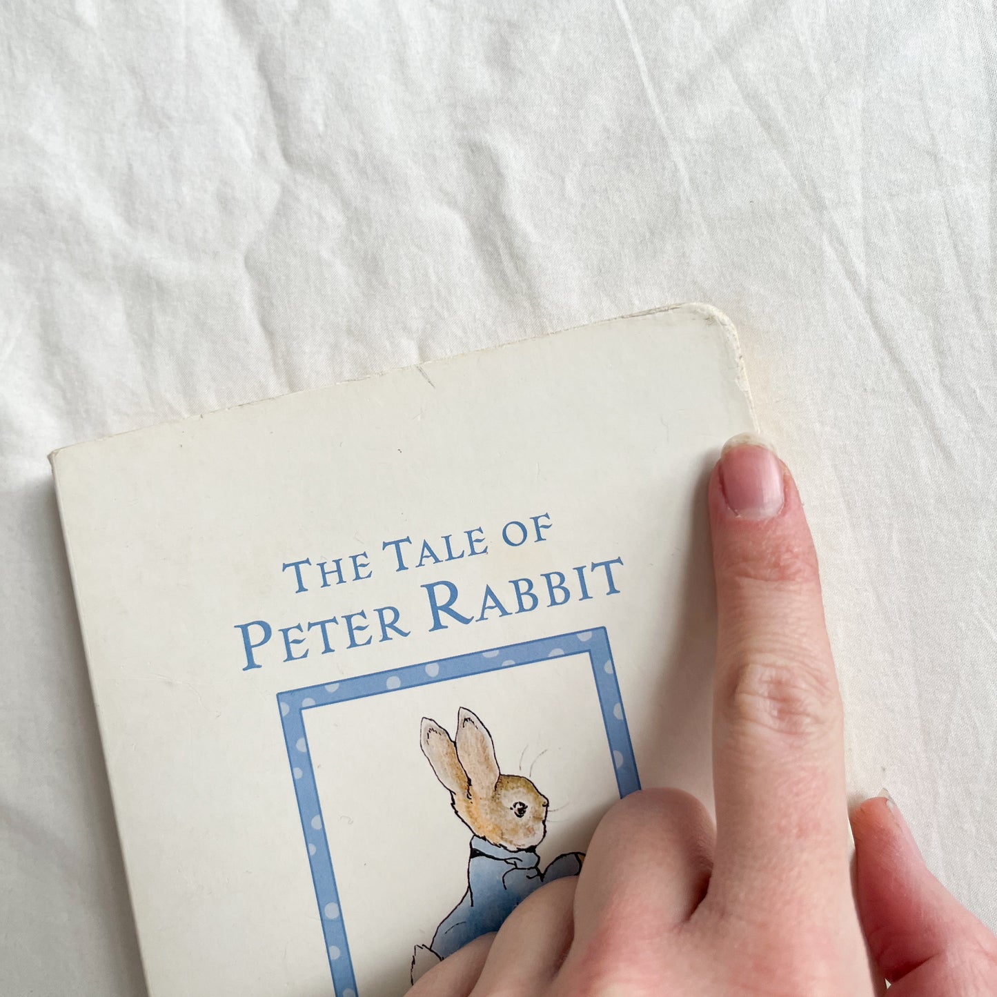 Peter rabbit board book, small