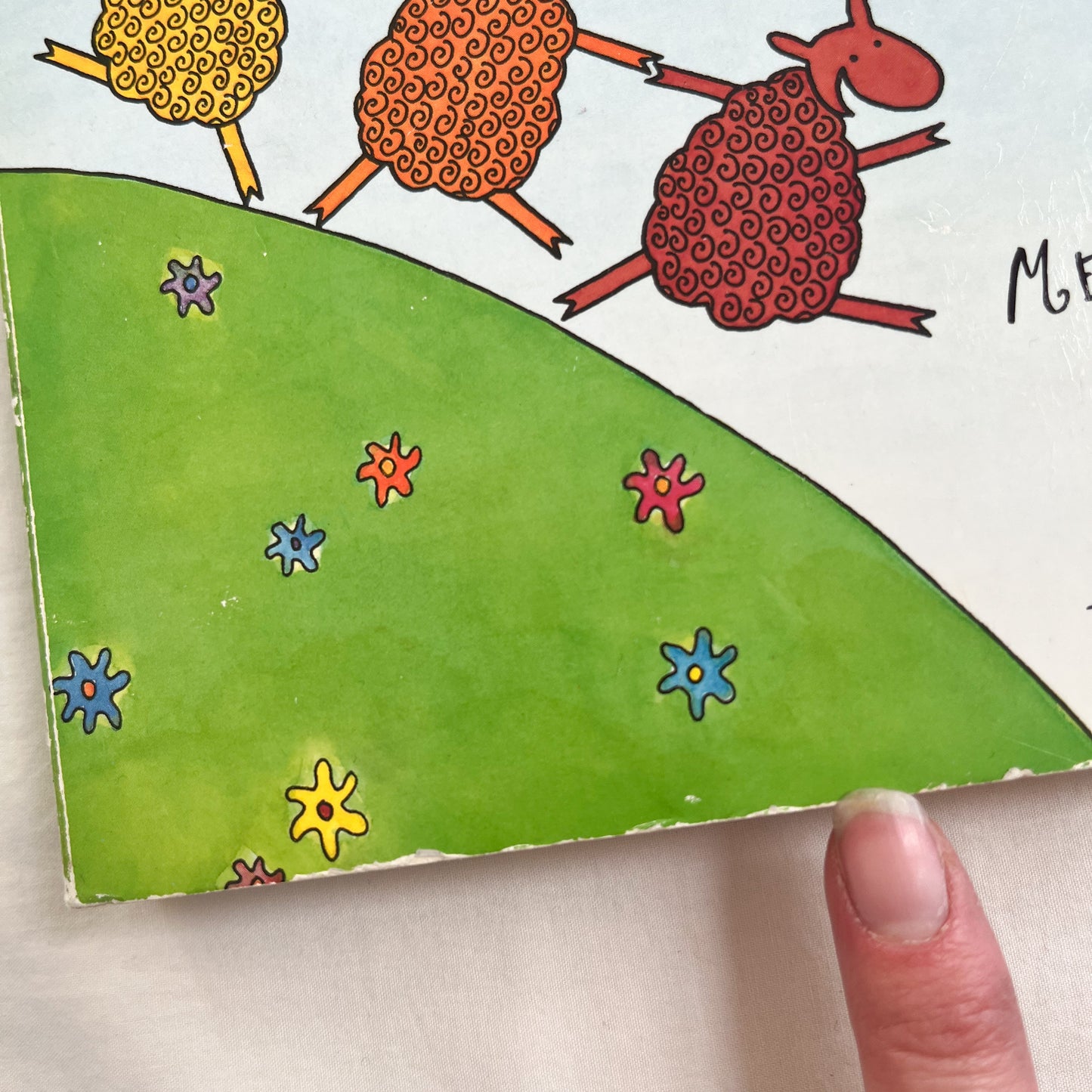 Green sheep book, small-med