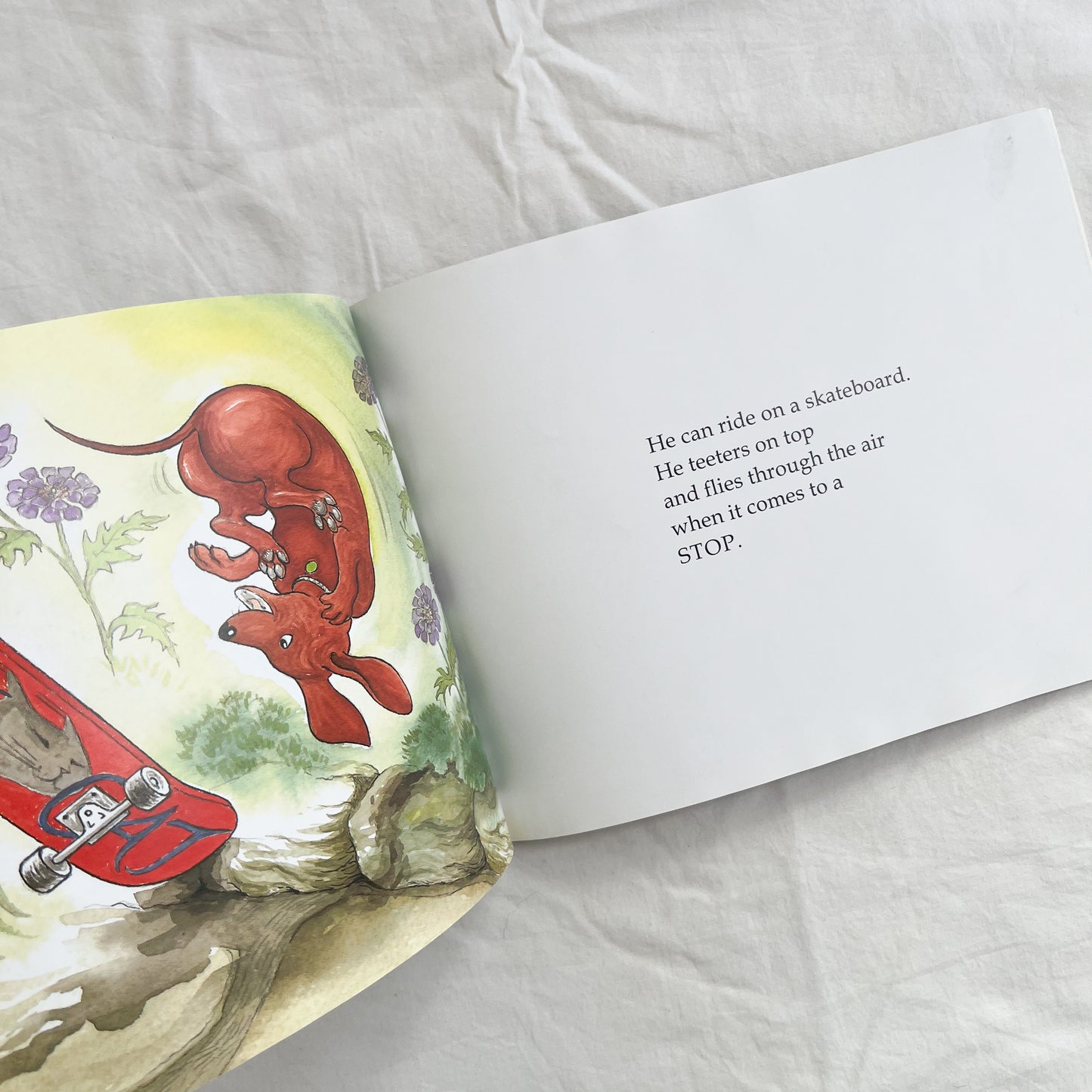 Snitzel von Krum book, med