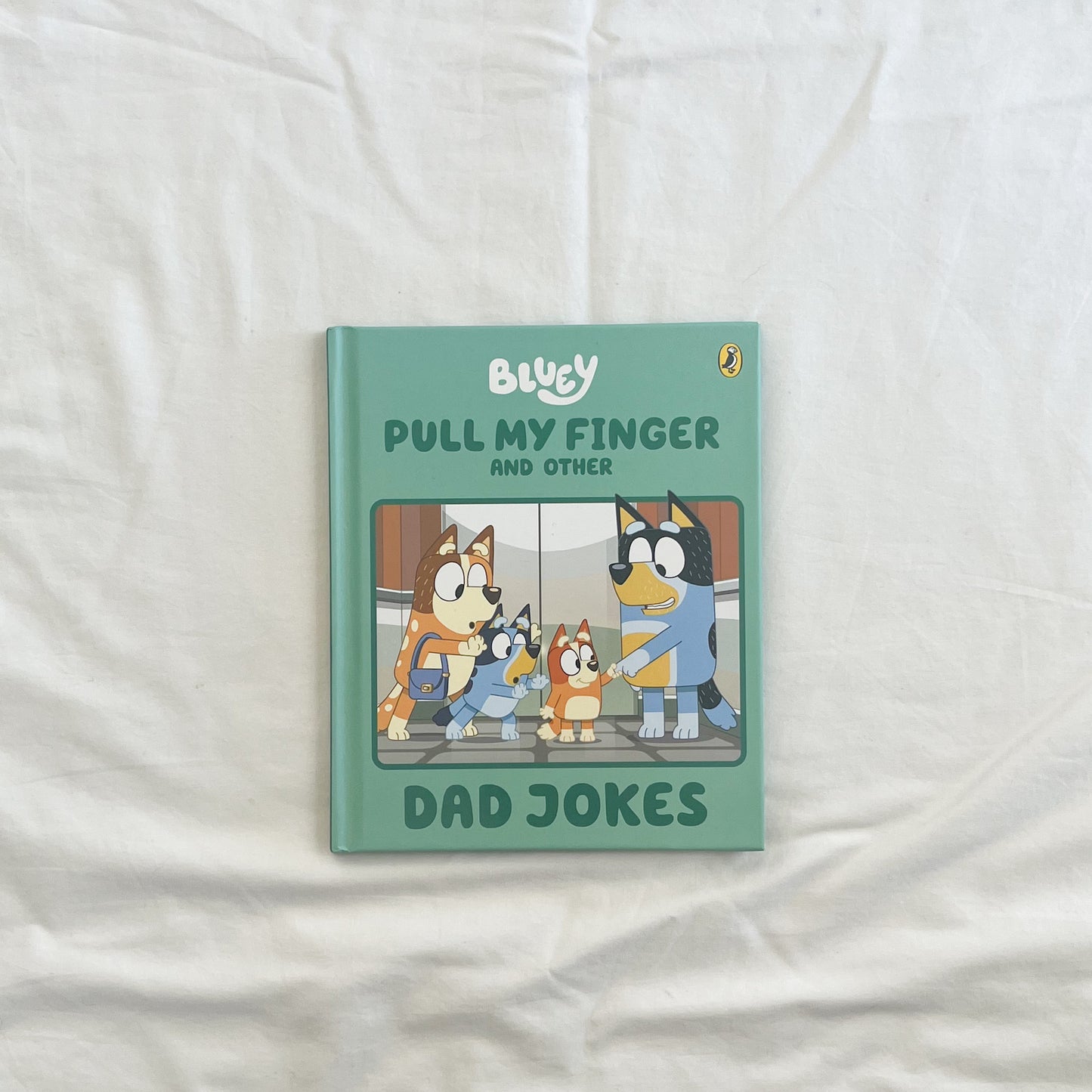 Bluey book, small-med