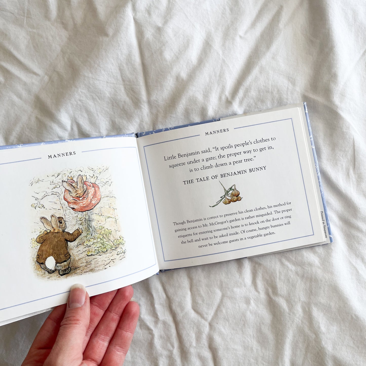 Peter rabbit book