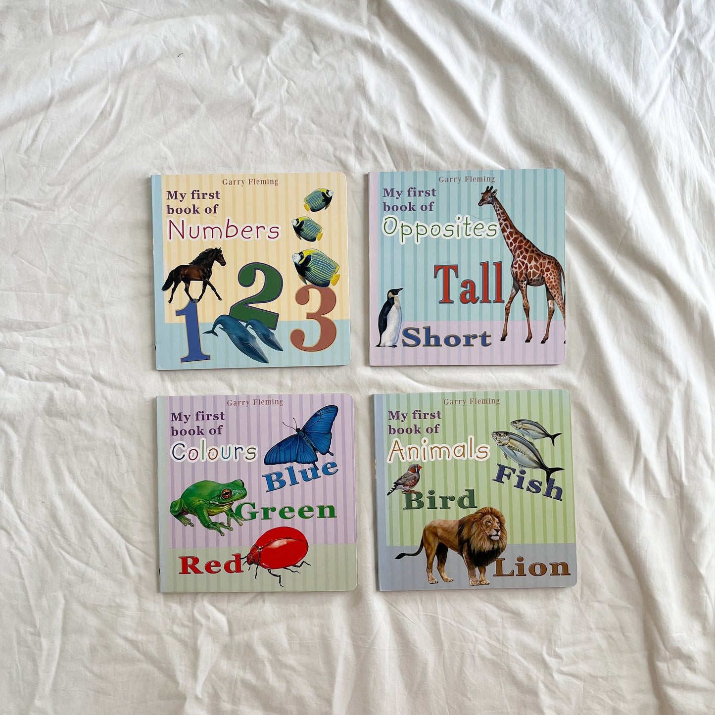 Board book set, medium