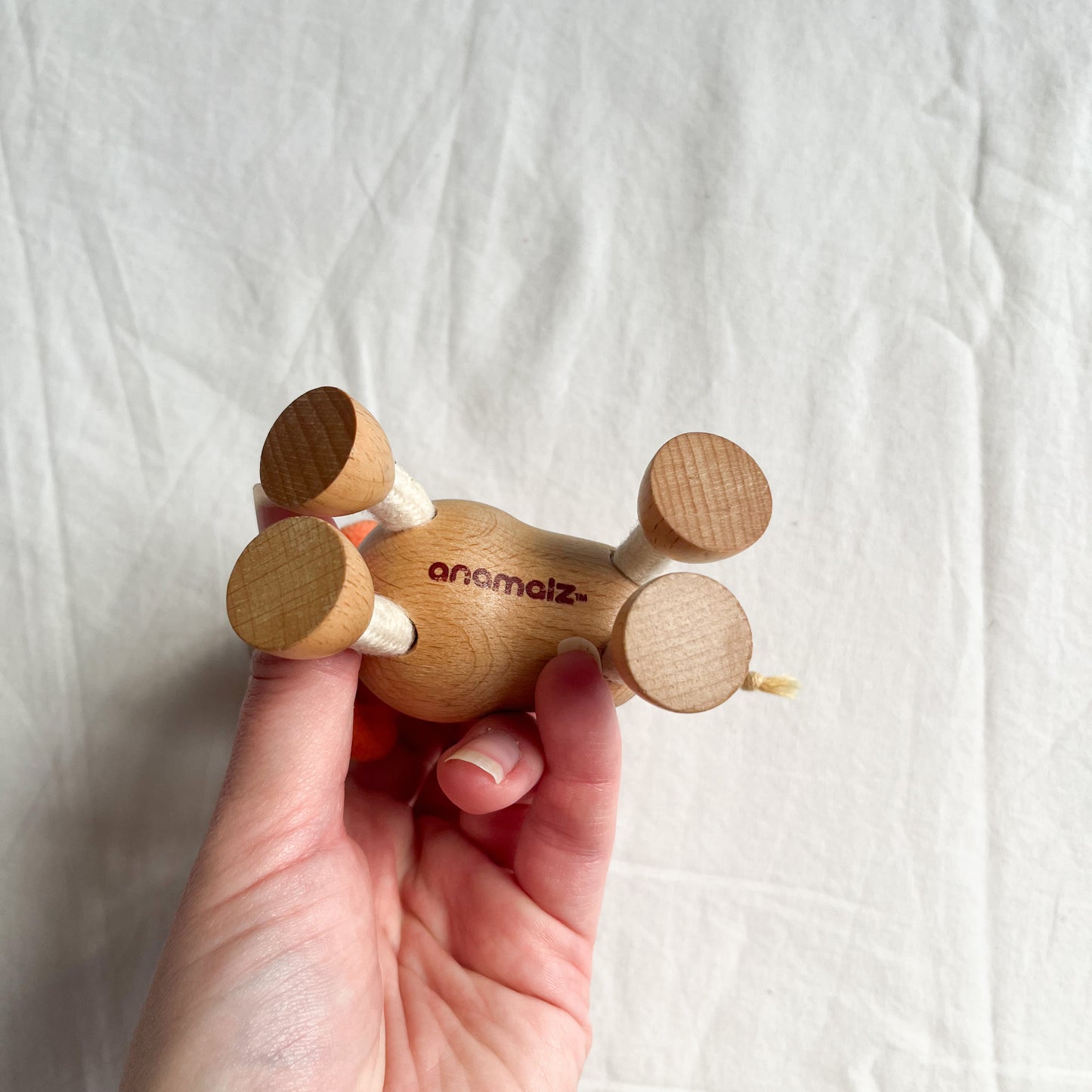 Animalz wooden lion