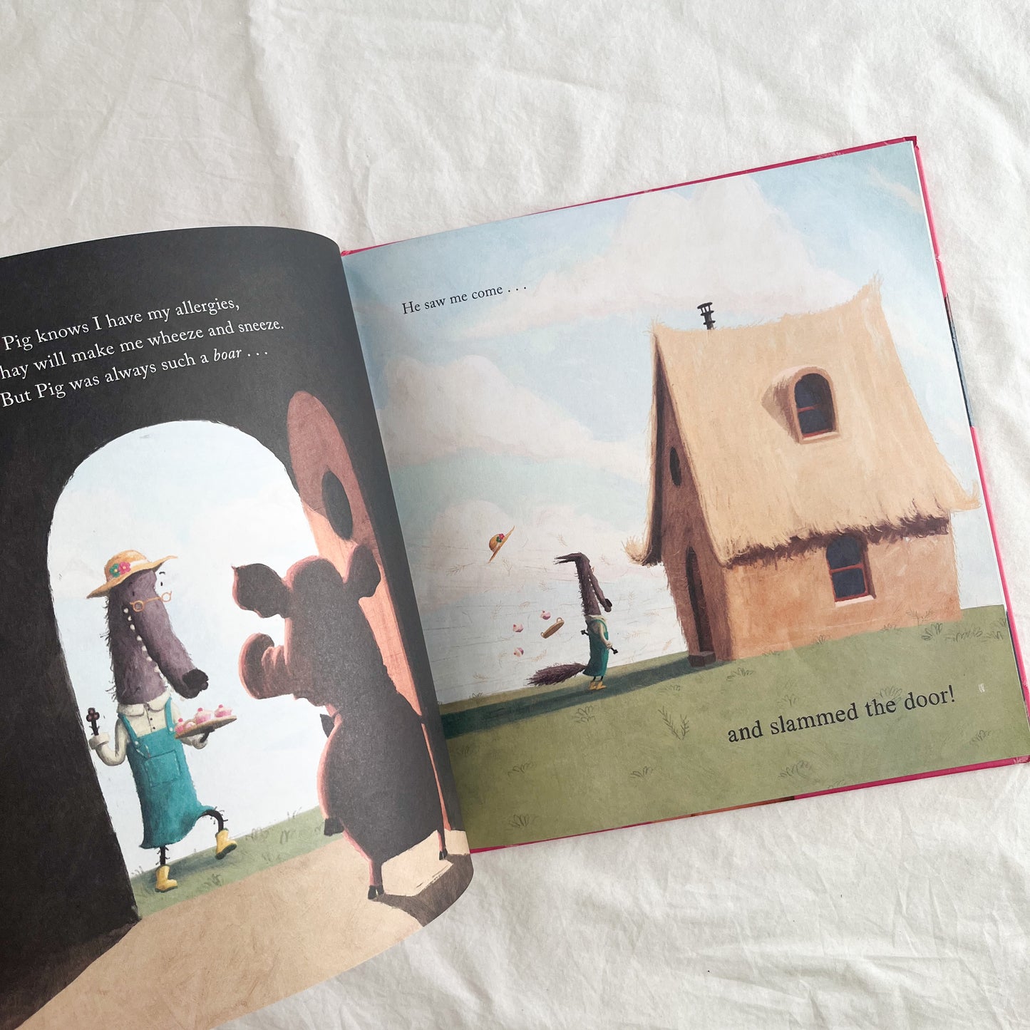 Miss understood book, large